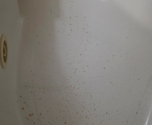 Hampton Inn & Suites Longview North主图