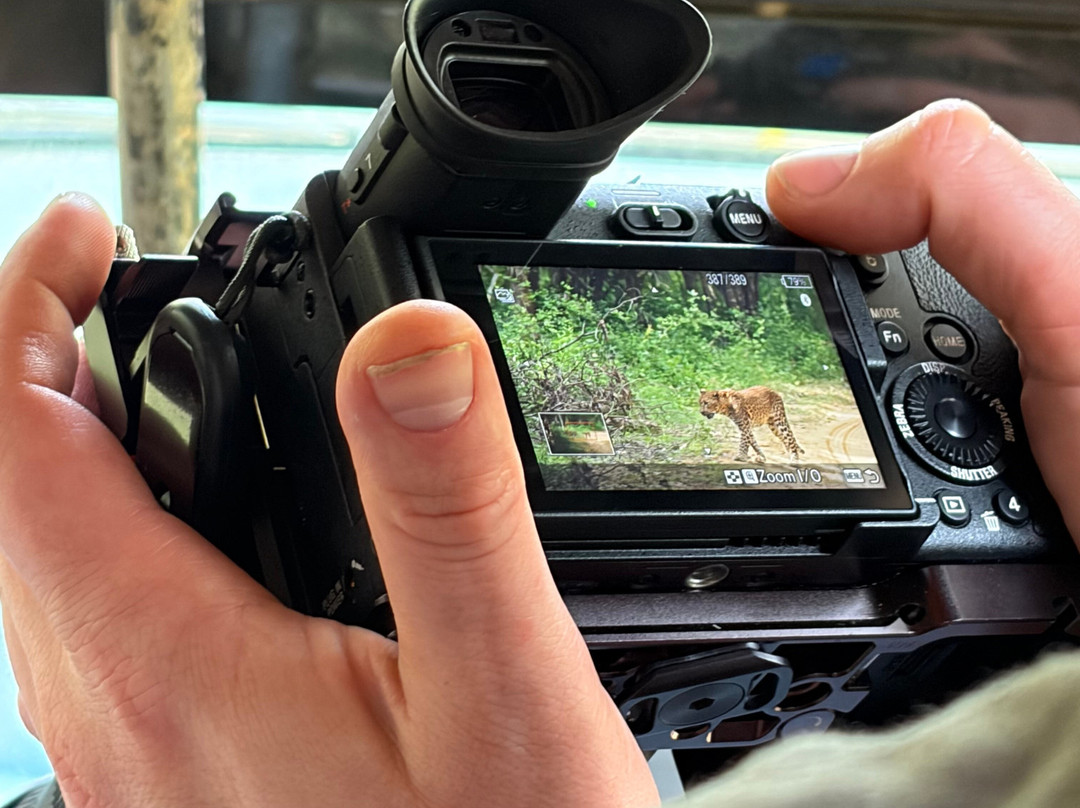Wilpattu Safari Jeep-Wilpattu National Park必去景点