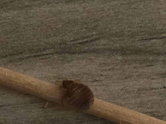 贝克利旅行酒店主图