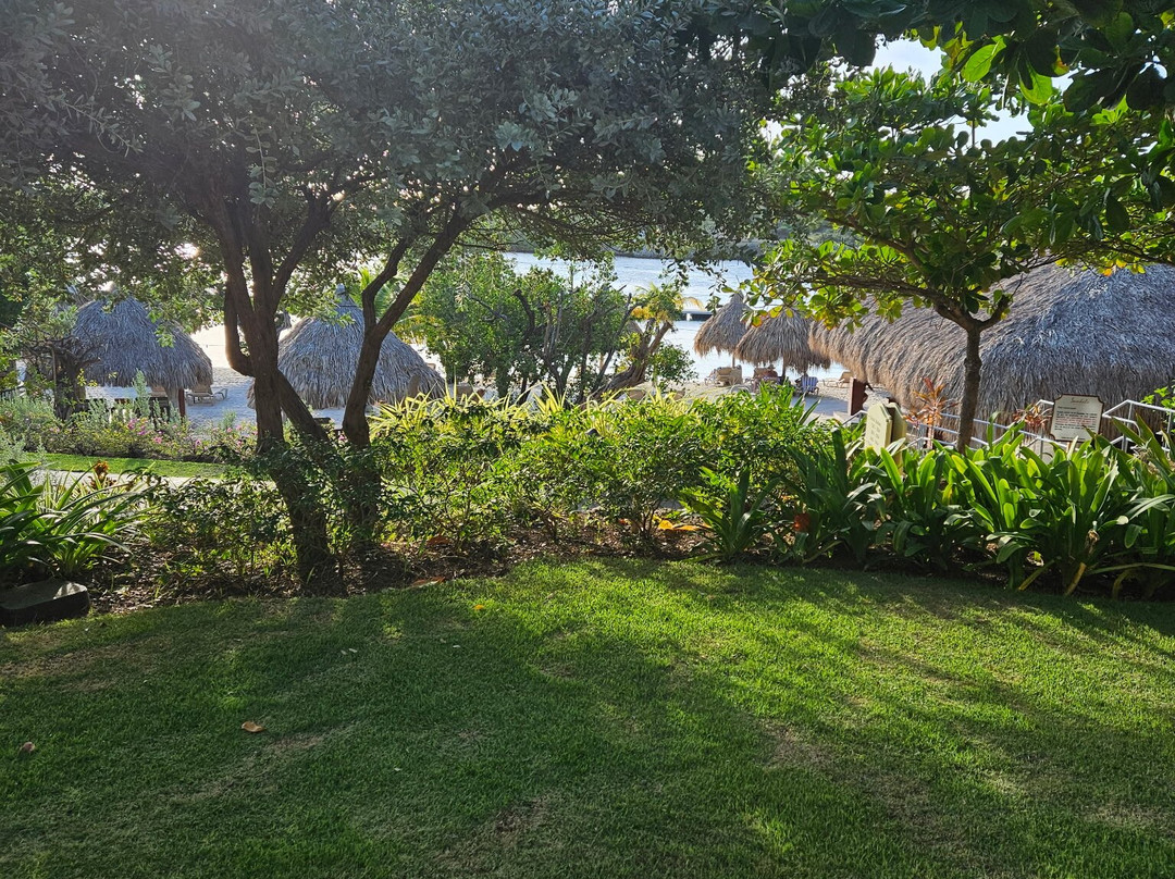 Sandals Royal Curacao主图