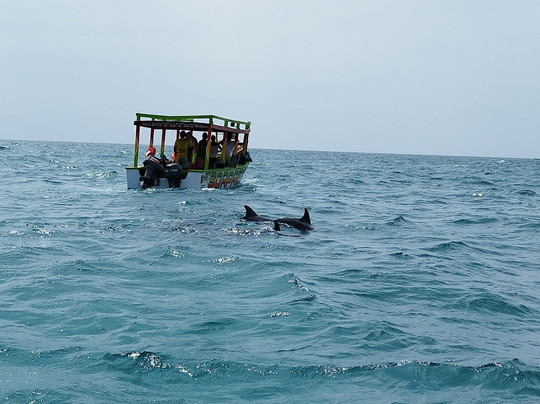 NelloSafari-瓦塔木必去景点