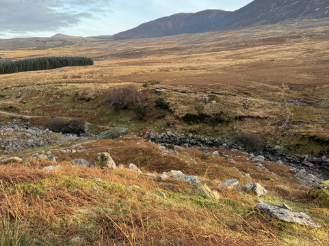 Morrison Tours-Killorglin必去景点