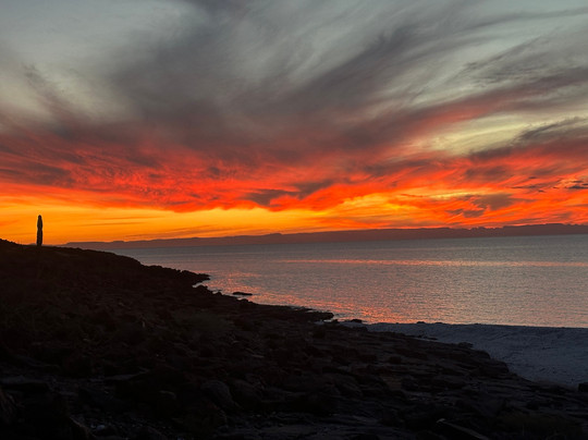 Go Baja Sailing-拉巴斯必去景点
