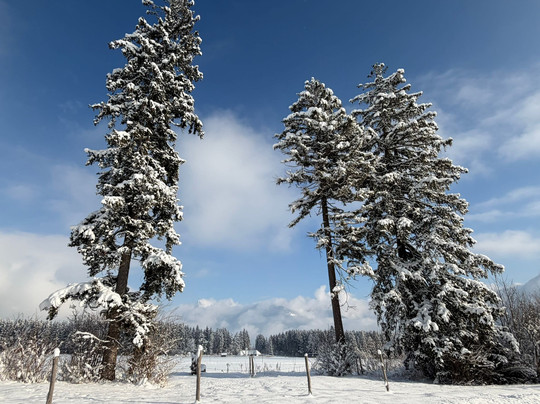 Hotel Lainbach主图