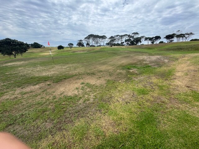 卡林顿度假村酒店-官方