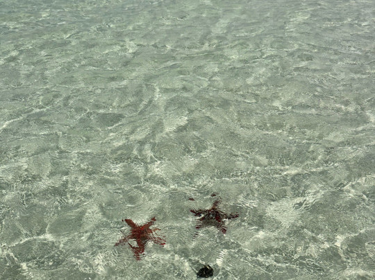 Jambo Life Safari-瓦塔木必去景点