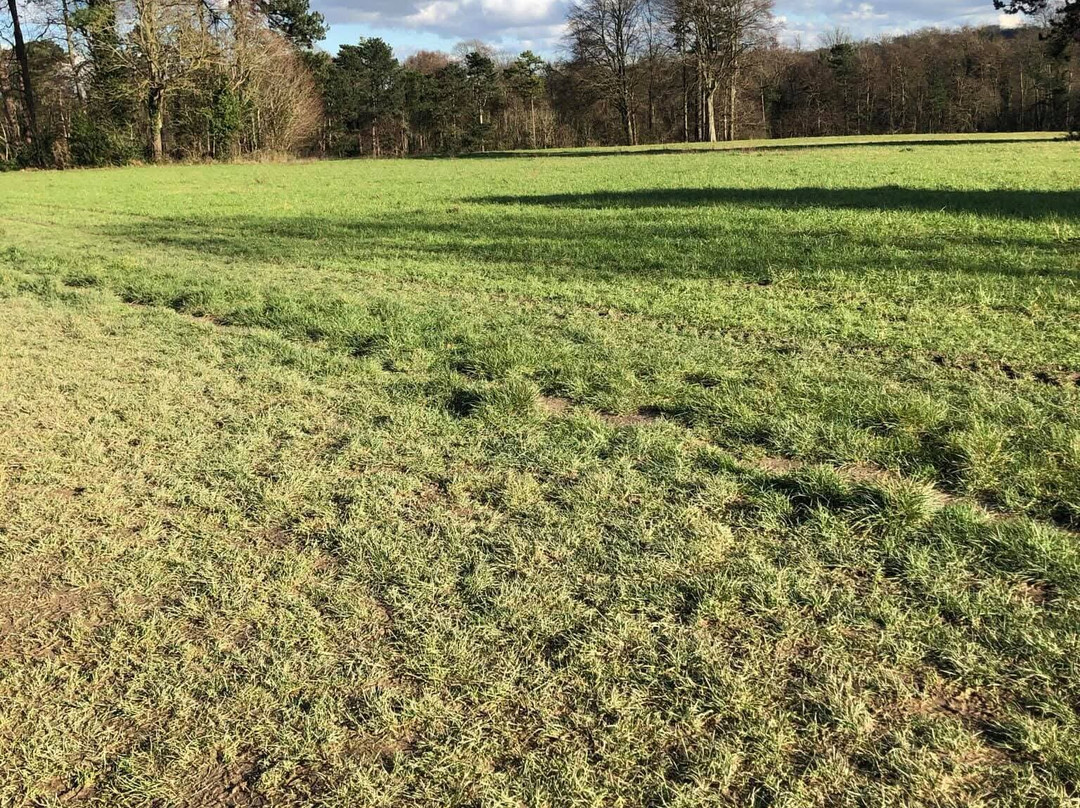 High Elms Country Park-布罗姆利必去景点
