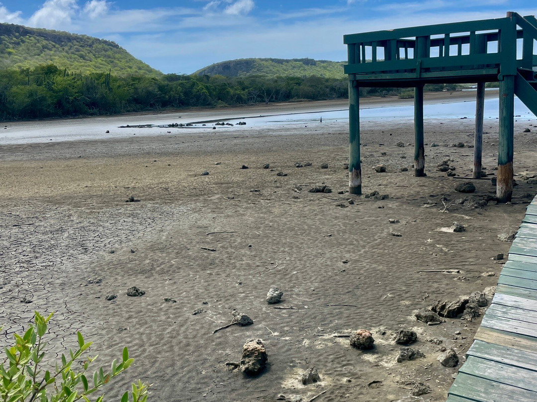 Flamingo Sanctuary Sint Willibrordus-Sint Willibrordus必去景点