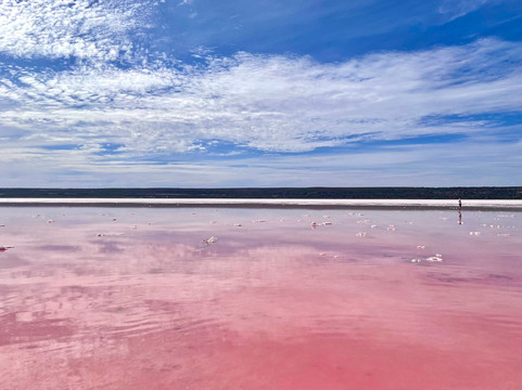Pink Lake-卡尔巴里必去景点
