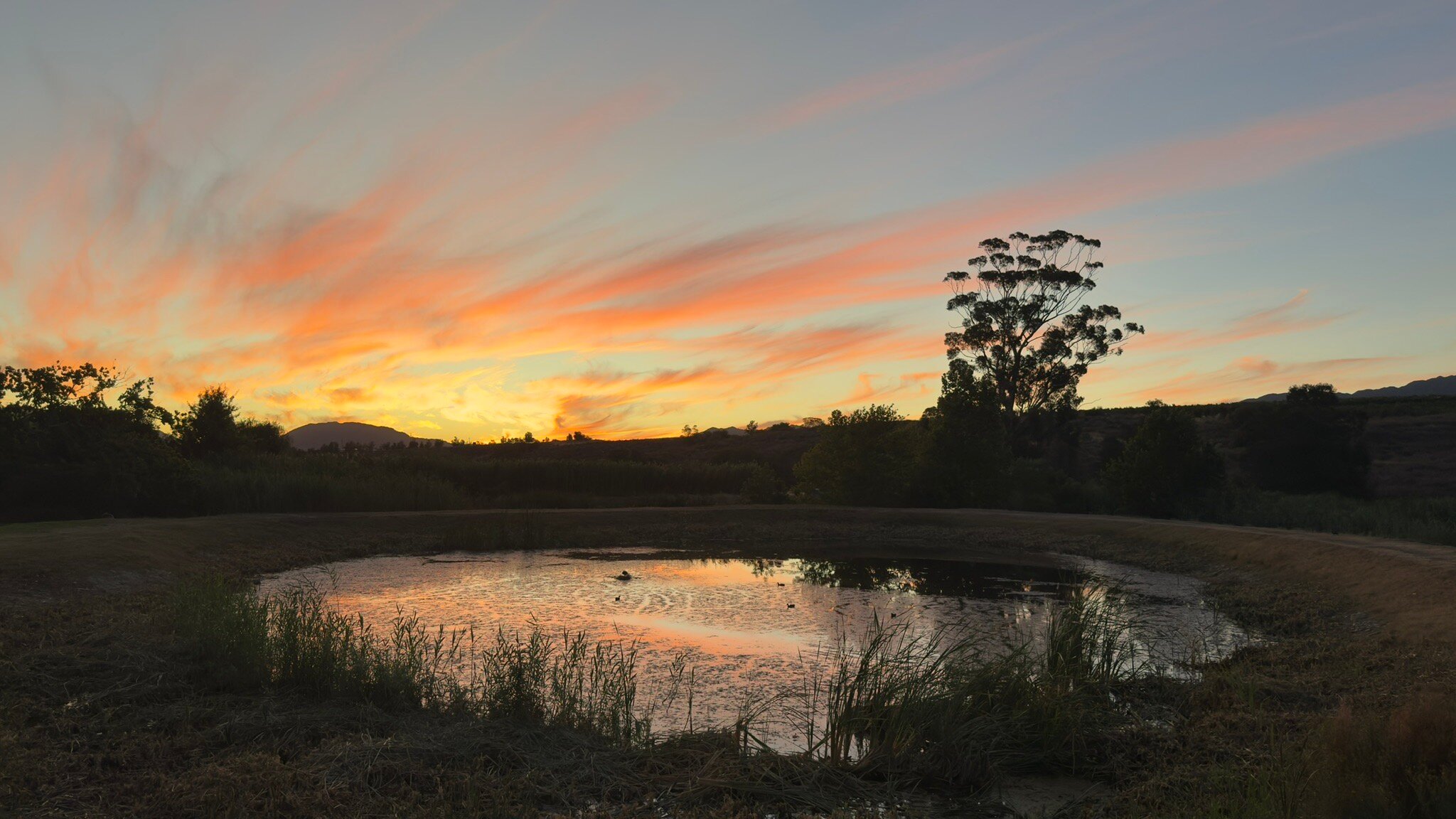曼利葡萄酒小屋-官方