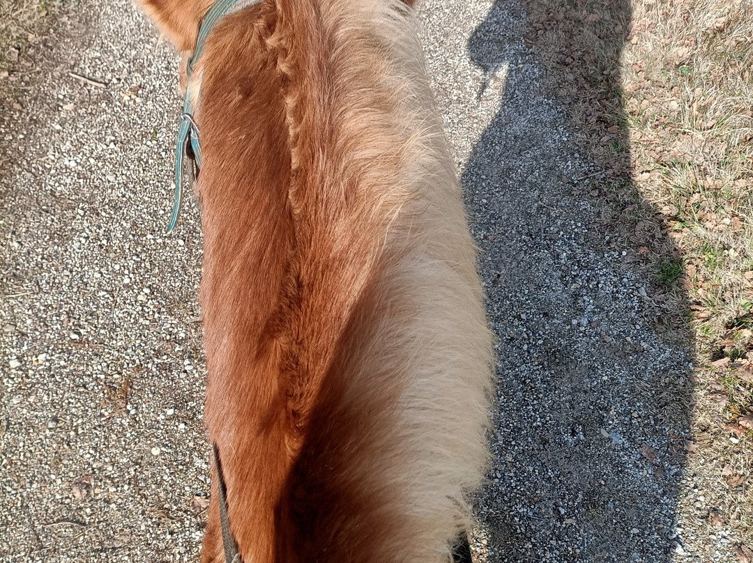 Paradiso Del Cavallo-Bagnaia必去景点