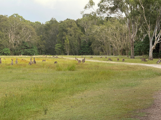 Coombabah Lakes Conservation Area-Coombabah必去景点
