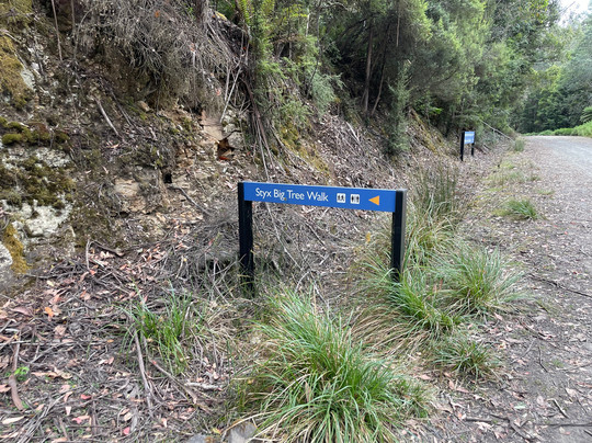 Styx Valley-Maydena必去景点