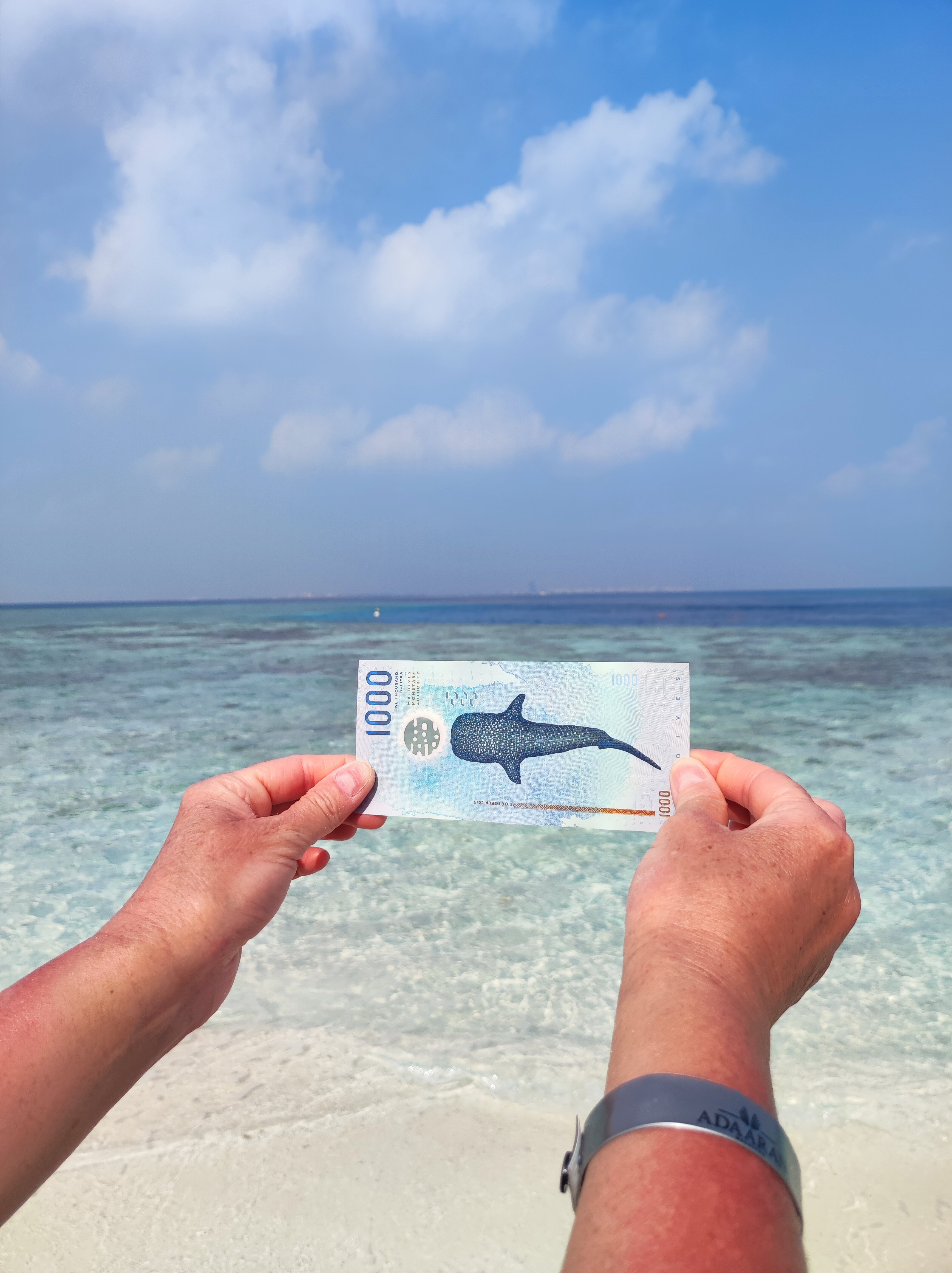 阿达郎尊贵瓦度岛度假村-官方