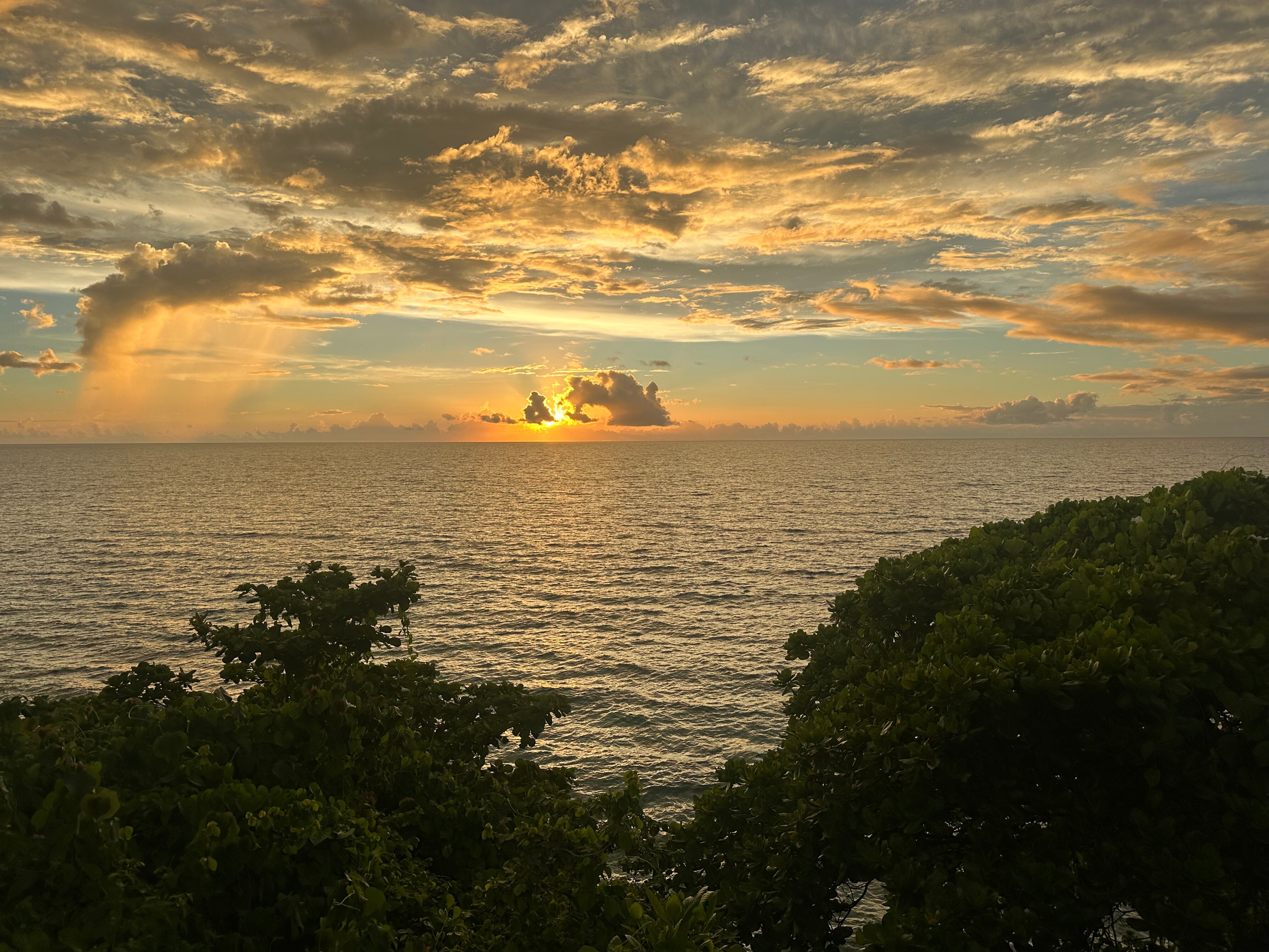 皇家达弗依岛度假村-官方