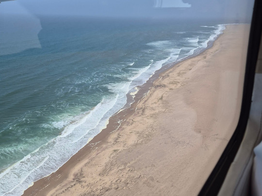 Bush Bird - Sossusfly-斯瓦科普蒙德必去景点