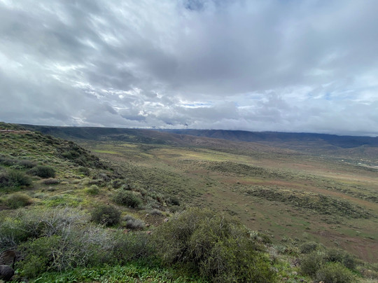Petrified Forest National Park-霍尔布鲁克必去景点