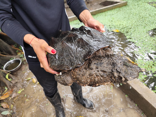 Jairo Mejia Prado-伊基托斯必去景点