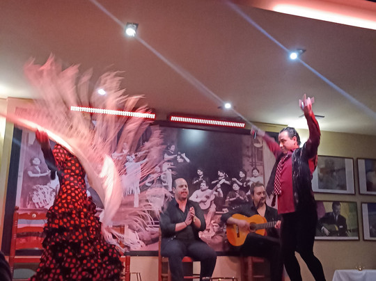 Tablao Flamenco La Cantaora-塞维利亚必去景点