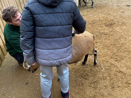 Colchester Zoo-科尔切斯特必去景点