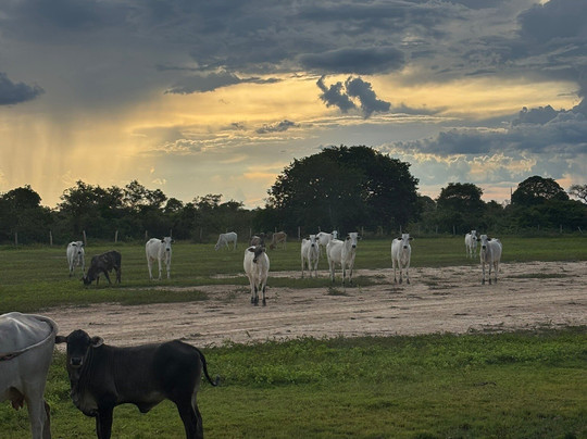 Gasparetour Pantanal Tours-Cuiaba必去景点