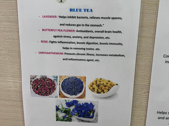 New Body and Mind Retreat主图