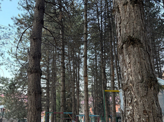 Archazor Mountain Resort主图