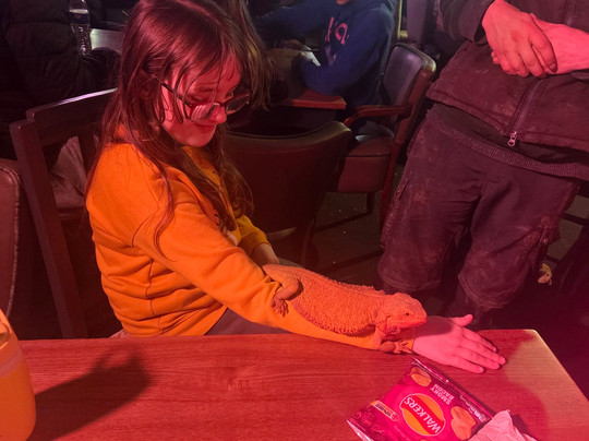 Willow Tree Family Farm-Shirebrook必去景点