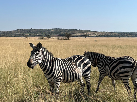 Mist Rwanda Safaris-Ruhengeri必去景点