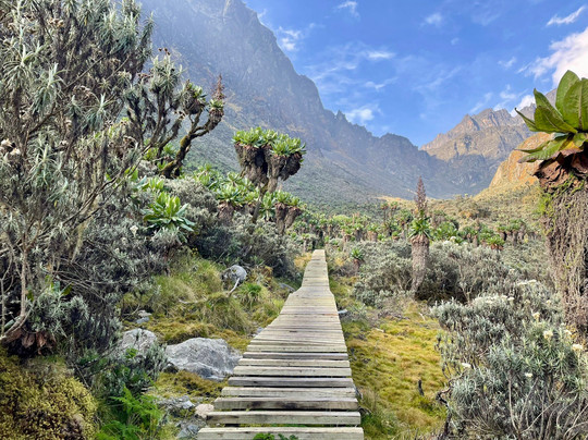 Trek Rwenzori Tours-Fort Portal必去景点