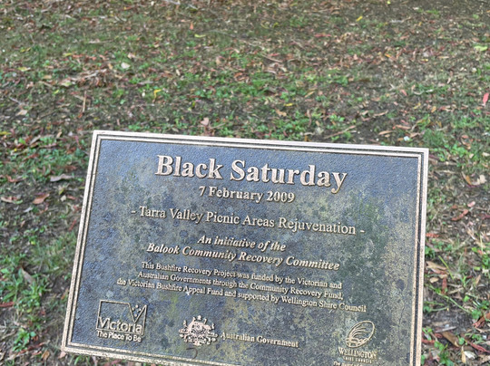 Strzelecki Trail Route 94-Tarra Valley必去景点