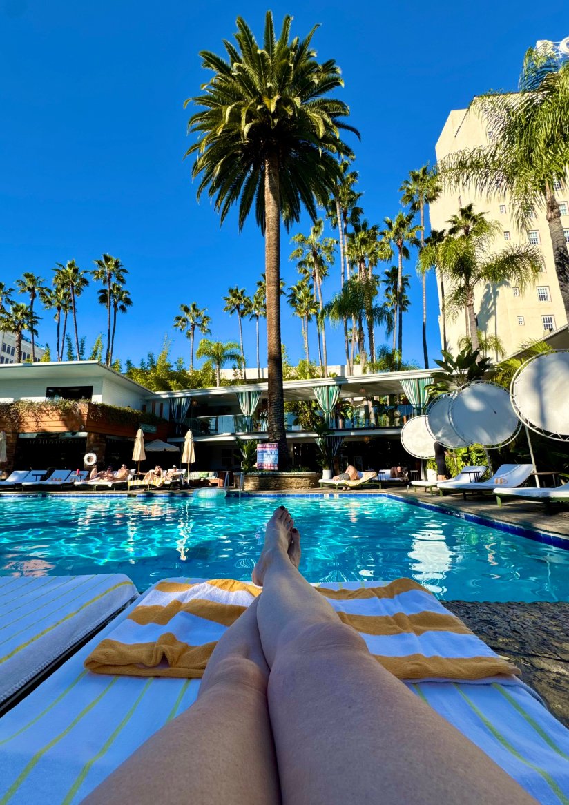 好莱坞罗斯福酒店-泳池