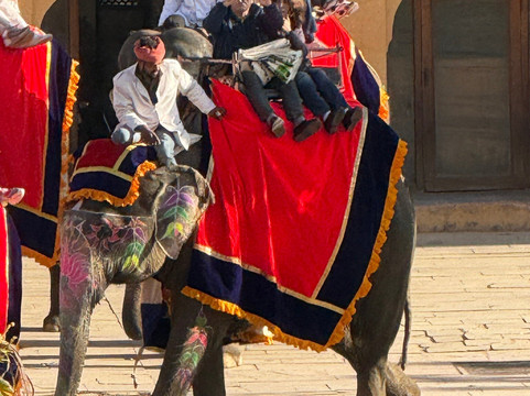 India 4 Wheel Drive-新德里必去景点