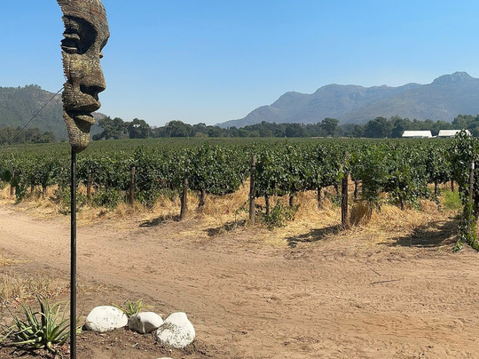 Lynx Wine-法兰舒克必去景点