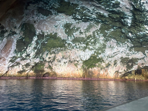 Perfect Day Ocean Cruise-Tutukaka必去景点