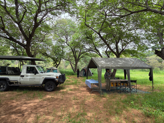 Real Africa Safaris Chobe-卡萨尼必去景点