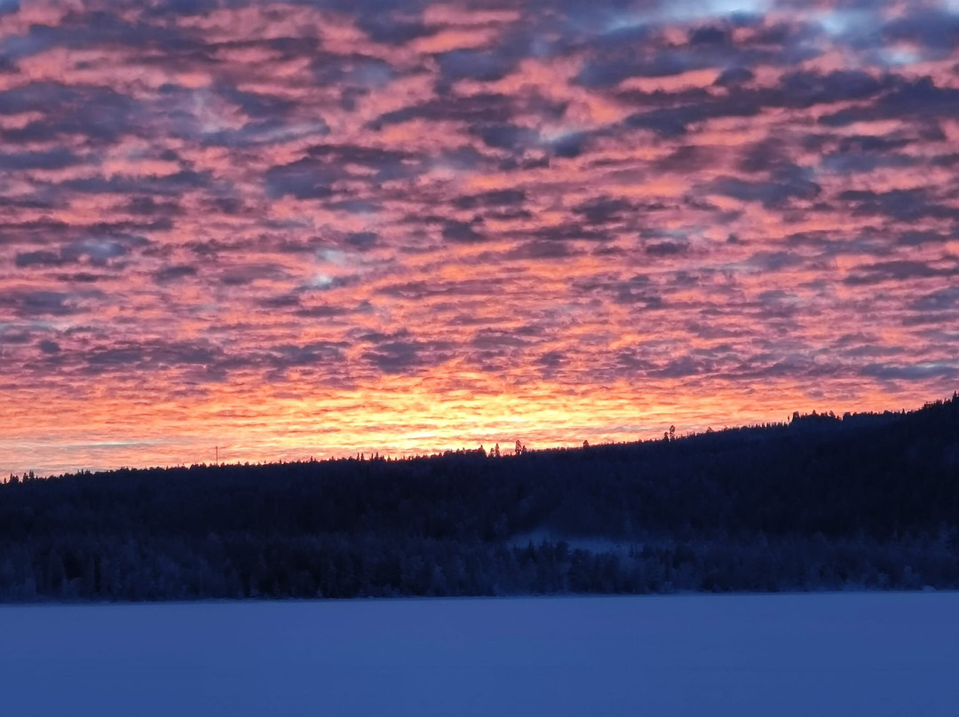 Openlappland-Amsele必去景点