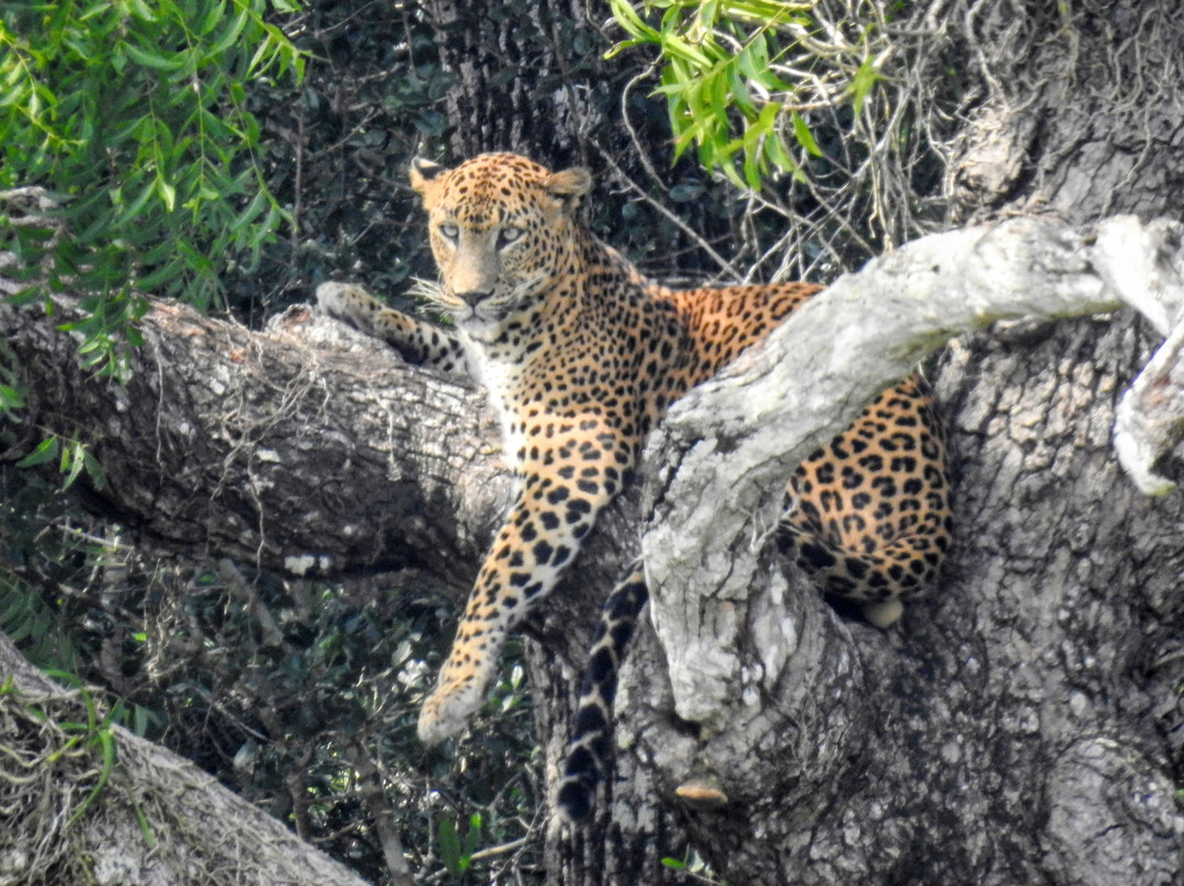 Ceylon Vacay Vibes-加勒必去景点
