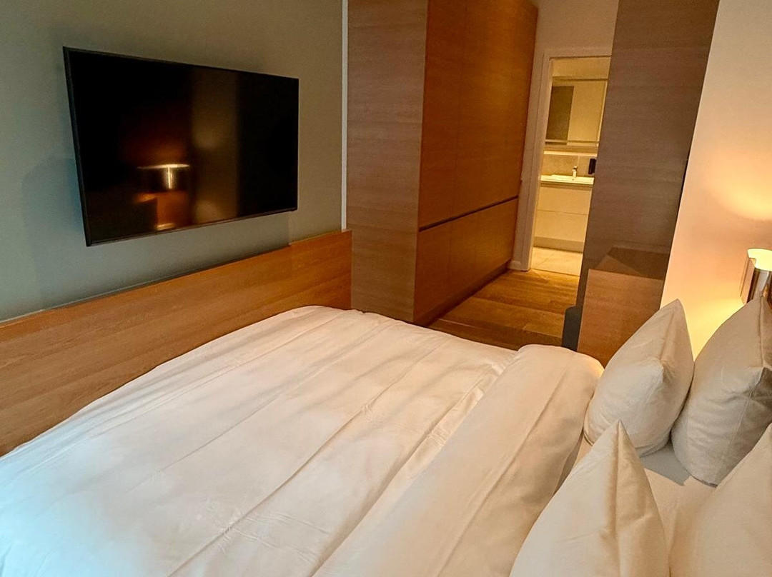 杜塞尔多夫威勒姆,凯悦成员主图