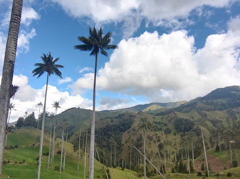Mirador Valle De La Samaria