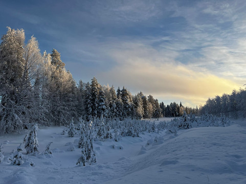 Imagine Lapland