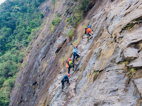 Jungle Boss Tours-峰牙－己榜国家公园必去景点