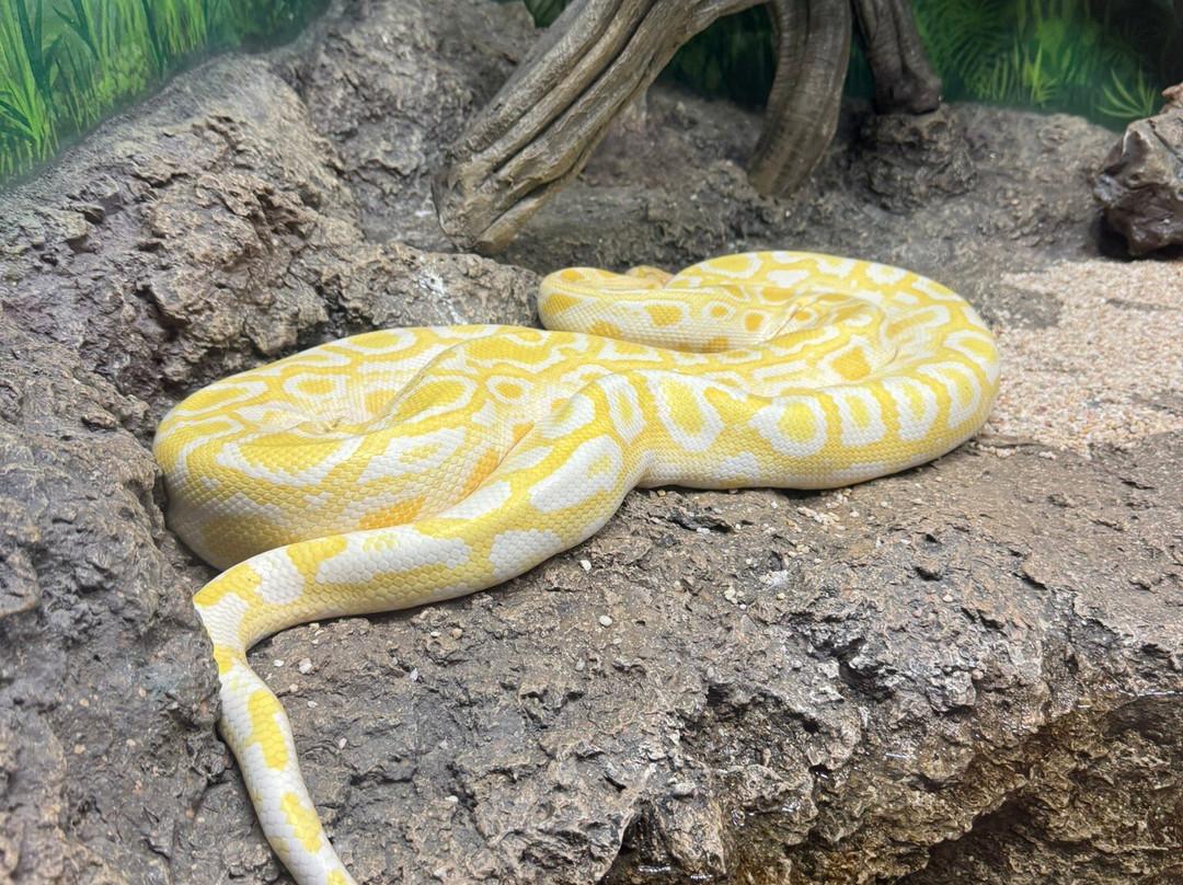 Angkor Wildlife & Aquarium-暹粒必去景点