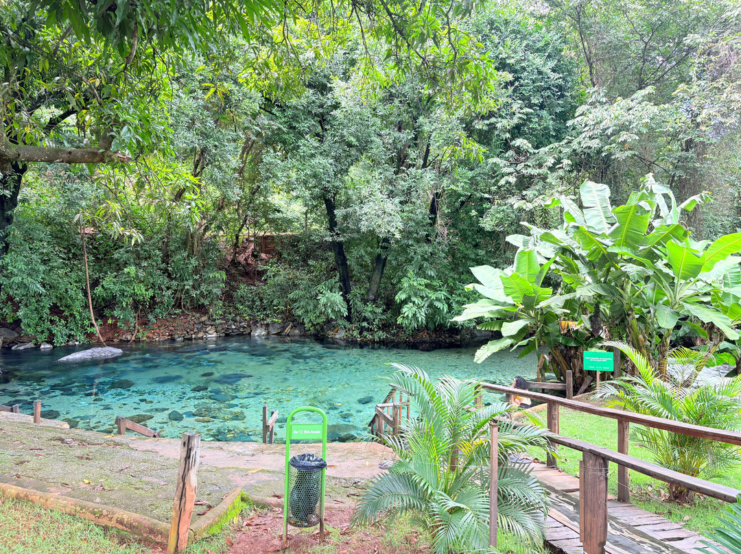 Rio Azuis-Aurora do Tocantins必去景点