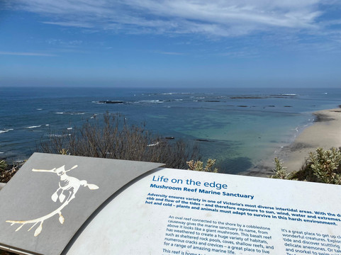 Mushroom Reef Marine Sanctuary