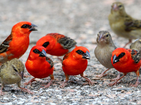 Mason's Travel-维多利亚必去景点