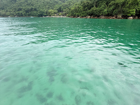 Barco gladiador-帕拉地必去景点