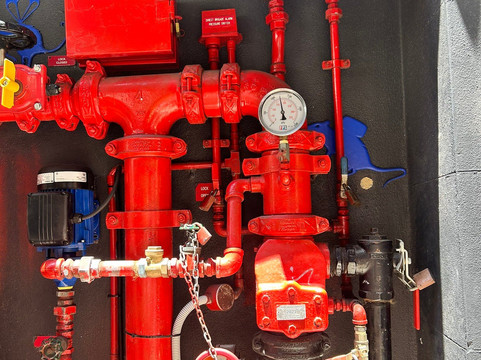 Local Sauce Tours-悉尼必去景点