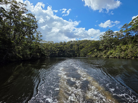 Arthur River - A R Reflections River Cruises-Arthur River必去景点