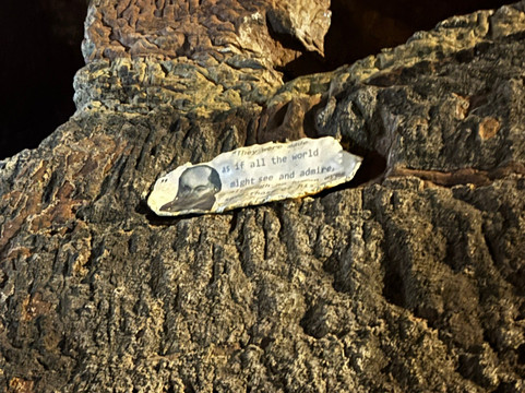 Williamson Tunnels Heritage Centre-利物浦必去景点